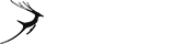 自动发货准时的ddos攻击在哪能买到
